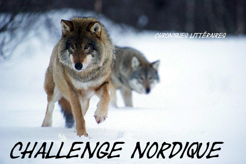 CHALLENGE - Nordique loups_scandinavie