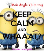 CHALLENGE - Mois Anglais 2015 Minions - OK